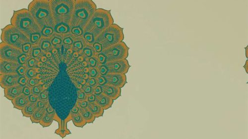 Kalapi 216757